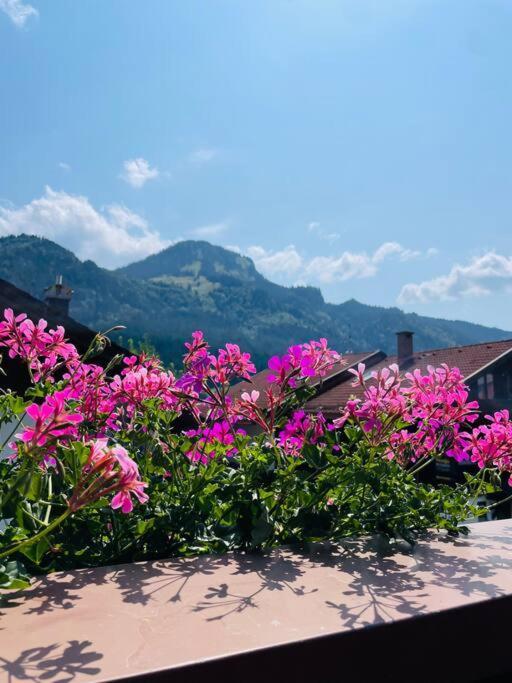 Berge, Wandern, Erholung Pur! Fewo Tinka-Haus Katja باد هينديلانغ المظهر الخارجي الصورة